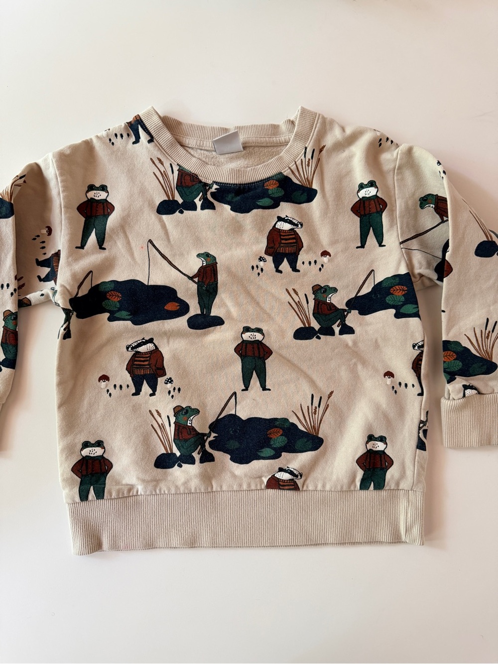 Kids Beige Pullover Sweatshirt with Fishing Animal Print